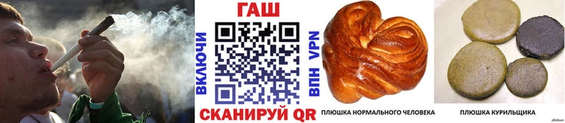 Купить где  Сураж  ГАШ гарик 