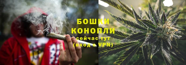 дживик Карпинск