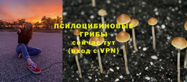 дживик Карпинск