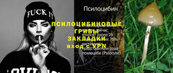 дживик Карпинск