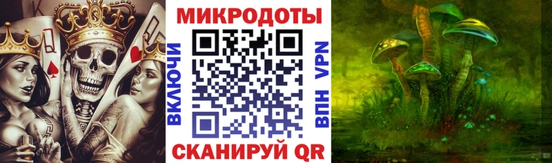 Купить где  Сураж  Псилоцибиновые грибы Magic Shrooms 