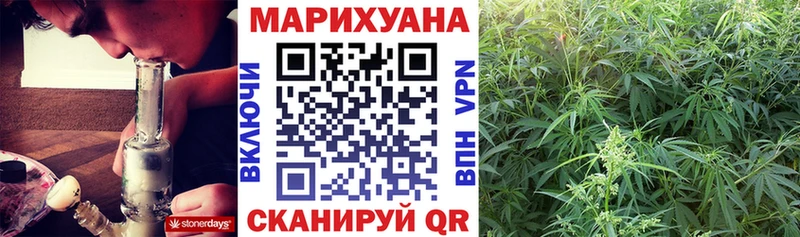 Конопля LSD WEED  Купить закладки  Сураж 
